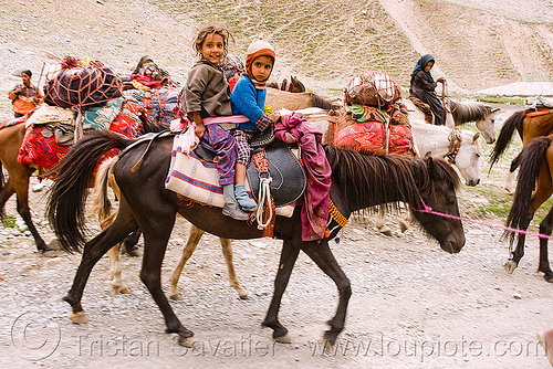 two kids riding a horse - nomads with horses - leh to srinagar road - kashmir, caravan, children, horseback riding, kashmir, kashmiri gujjars, kids, mountains, muslim, nomads, pack animal, pack horses, road, zoji la, zoji pass, zojila pass