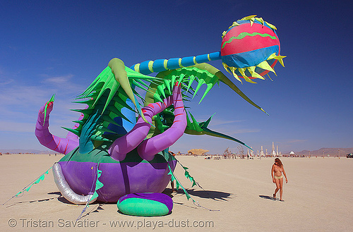 venus eye trap - inflatable art - burning man 2006, art installation, inflatable art, luke egan, pete hamilton, venus eye trap