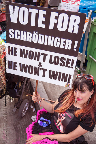 vote for schrödinger - sign - how weird street faire (san francisco), quantum physics, schrödinger equation, sign, vote for schrödinger, woman