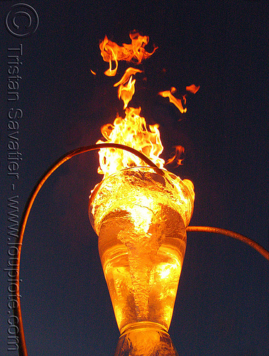 water and fire, burning, echevaria, fire art, orion fredericks, therm