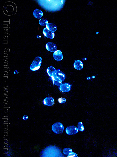 water drops close-up, blue, closeup, droplets, drops, night, rain