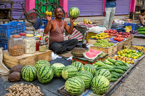 watermelons, cucumbers and fruits at street market (india), cross-legged, cucumbers, farmers market, fruits, gairkata, ginger, man, produce, sitting, stall, street market, street seller, vegetables, veggies, vendor, water melons, west bengal