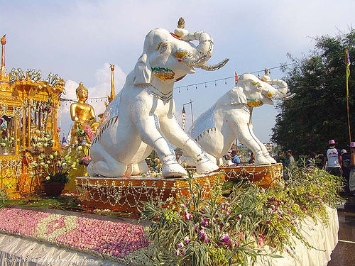 ช้างเผือก - white elephants - เชียงใหม่ - chiang mai - สงกรานต์ - songkran festival (thai new year) - thailand, carnival float, chiang mai, elephant sculpture, elephant statue, songkran, thai new year, thailand, white elephants, ช้างเผือก, สงกรานต์, เชียงใหม่