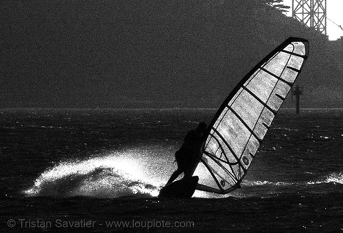 windsurfer (san francisco), backlight, crissy field, jibe, sail, windsurf, windsurfer, windsurfing