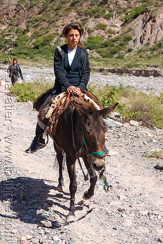 woman riding horse (argentina), argentina, bridle, horse-riding, horseback riding, iruya, noroeste argentino, pony, quebrada de humahuaca, river bed, san isidro, trail, woman
