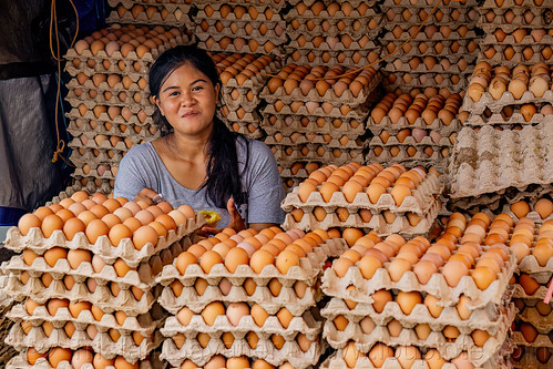 woman selling eggs - egg shop, bolu market, eggs, merchant, pasar bolu, rantepao, tana toraja, vendor, woman