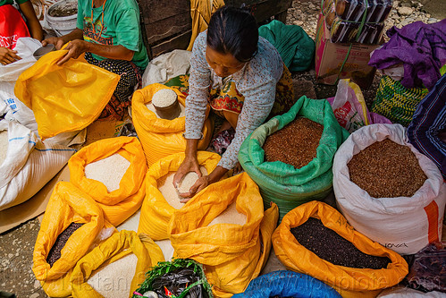 woman selling rice - rice stand on street market, bolu market, pasar bolu, rantepao, rice bags, rice merchant, rice shop, seller, sitting, tana toraja, vendor, woman