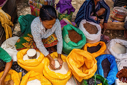 woman selling rice - rice stand on street market, bolu market, pasar bolu, rantepao, rice bags, rice merchant, rice shop, seller, sitting, tana toraja, vendor, woman