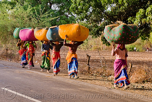 women in sari carrying bags on their head (india), bags, bundles, carrying on the head, colorful, indian woman, indian women, road, row, sarees, saris, walking