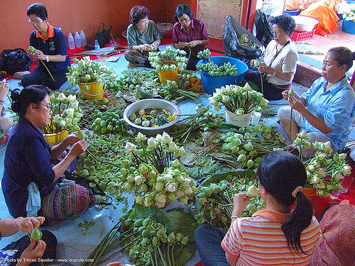 บายศรี - women making lotus flower offerings - เชียงใหม่ - chiang mai - สงกรานต์ - songkran festival (thai new year) - thailand, asian woman, asian women, chiang mai, flower offerings, lotus flowers, songkran, thai new year, สงกรานต์, เชียงใหม่