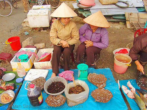 women selling bees and wasps on the market - vietnam, beehives, bees, cao bằng, edible bugs, edible insects, entomophagy, food, merchant, stall, street market, street seller, vendor, wasps
