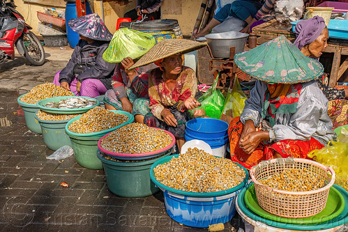 women selling clam or mussel meat at fish market, fish market, seafood, surabaya