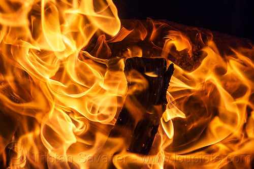 wood fire - flames - fire pit burning, bonfire, burning, fire pit, night, patterns, wood fire