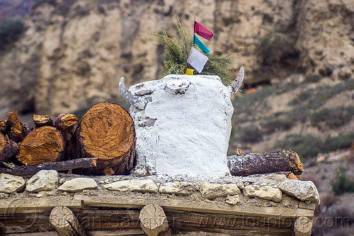 yak skull - sacrifice offering on house roof (nepal), annapurnas, house, kali gandaki valley, mountains, offerings, roof, sacrifice, skeleton, yak skull