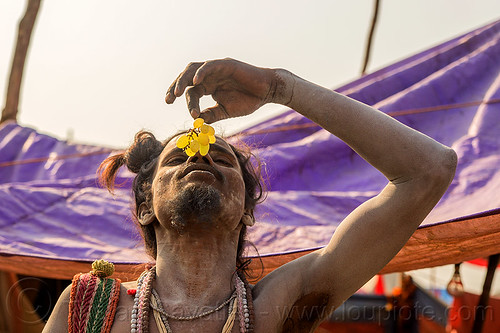 young sadhu eating grape (india), baba, beard, eating, fruit, grape, hindu pilgrimage, hinduism, kumbh mela, man, naga babas, naga sadhus, sadhu