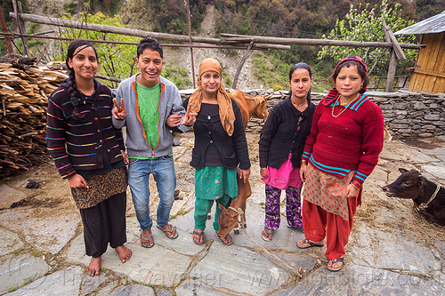 young villagers in the himalayas (india), calf, cows, janki chatti, man, women