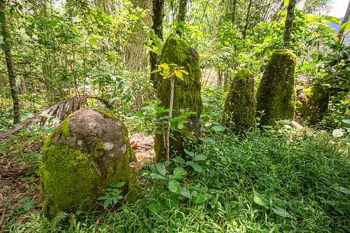 ancient toraja megalith memorial stones (menhirs), megaliths, memorial stones, menhirs, moss, mossy, simbuang batu, tana toraja