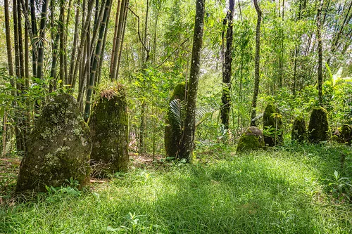ancient toraja megalith memorial stones (menhirs), megaliths, memorial stones, menhirs, moss, mossy, simbuang batu, tana toraja
