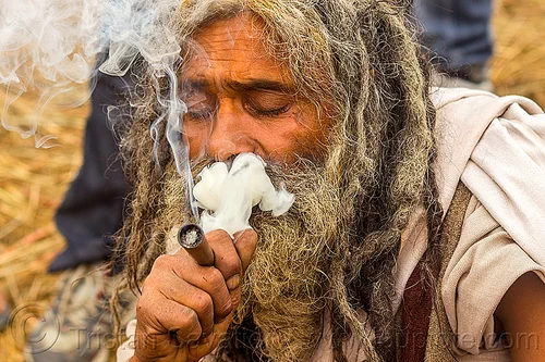 baba smoking a chillum of weed - clay pipe (india), baba smoking chillum, beard, chillum pipe, dreadlocks, ganja, hindu pilgrimage, hinduism, kumbh mela, man, sadhu, smoking pipe, smoking weed, thick smoke
