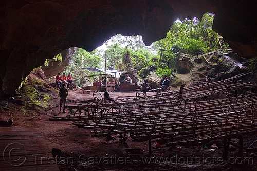 bamboo ladders of the bird's nests collectors - gua madai - madai cave (borneo), bamboo ladders, bird's nest, borneo, cave mouth, caving, gua madai, ida'an, idahan, madai caves, malaysia, natural cave, spelunking