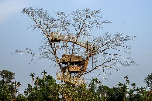 bamboo tree house - mawlynnong (india), bamboo, east khasi hills, mawlynnong, meghalaya, tree house