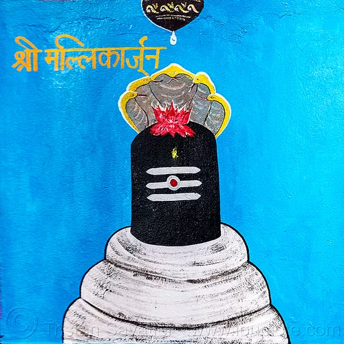 black lingam - lotus flower and five-headed naga snake - hindu symbolism (india), cobra, five-headed, hindu temple, hinduism, lotus flower, naga snake, nāga snake, painting, shiva linga, shiva lingam, shivling, symbol, symbolism, vasuki, water droplet