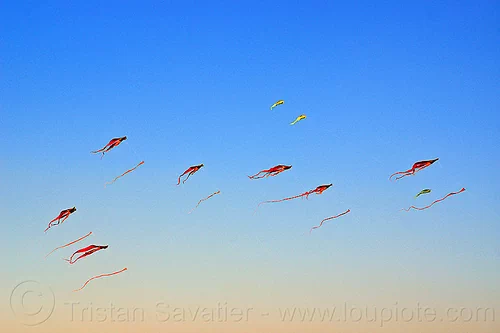 burning man - kites flying above the dust, department of tethered aviation, flying, kites