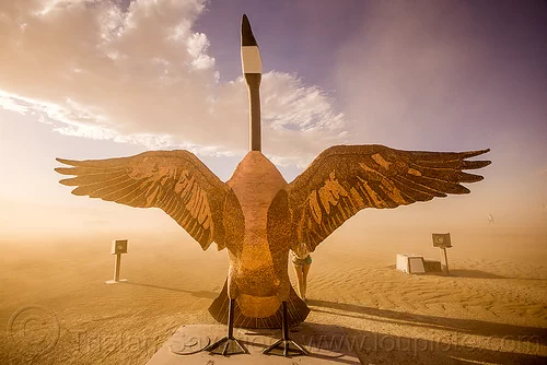 burning man - penny the goose, art installation, bird, canada goose, coins, pennies, sculpture