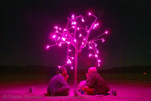 burning man - pink tree at night - digital hanami, art installation, burning man at night, digital hanami, doug weigel, glowing, ludwig, pink, tree