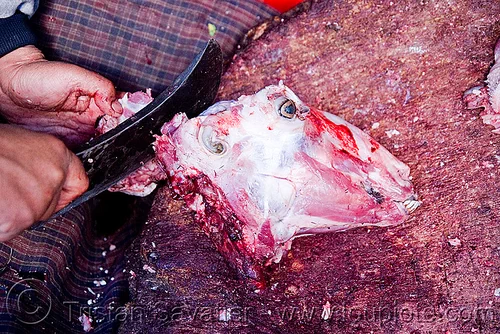 butcher cutting goat head, butcher knife, chevon, cleaver, goat head, goat meat, halal meat, ladakh, leh, meat market, meat shop, mutton, raw meat, skull, लेह