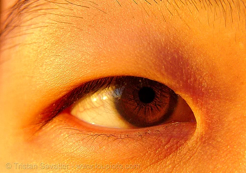 chinese eye, asian woman, beautiful eyes, chinese woman, closeup, eye color, iris