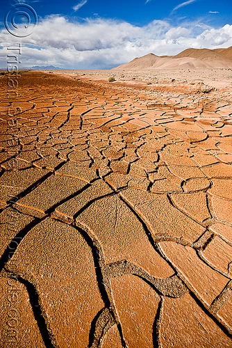 cracked mud - desert, altiplano, argentina, cracked mud, drought, dry mud, dry spell, landscape, noroeste argentino, pampa