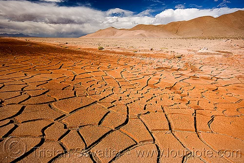 cracked mud - dry desert, altiplano, argentina, cracked mud, drought, dry mud, dry spell, landscape, noroeste argentino, pampa