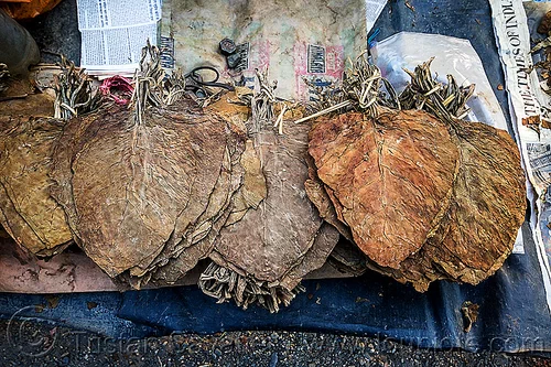 dried tobacco leaves (india), dried, gairkata, stall, street market, tobacco leaves, west bengal