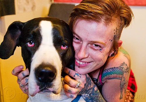 great dane dog, dog, great dane, head, leah, red eyes, snout, tattooed, tattoos, woman