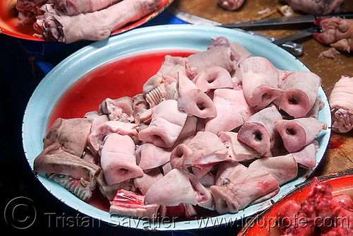 half pig snouts in meat market (laos), half, meat market, meat shop, noses, pig snouts, pork snouts, raw meat