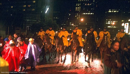 horses - mounted police - sfpd (san francisco), chinese new year, cops, horseback riding, horses, law enforcement, lunar new year, mounted police, night, police officers, sfpd
