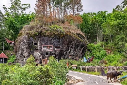 lembang tonga riu - lo'ko mata wall - toraja rock tombs, boulder, burial site, cemetery, effigies, graves, graveyard, lembang tonga riu, liang pak, lo'ko mata wall, pa'tedong, rock tombs, tana toraja, tau-tau