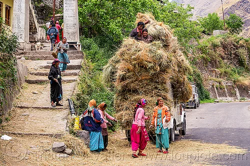 mahendra jeep overloaded with hay (india), car, cargo, dhauliganga valley, freight, hay, indian women, jeep, load, loading, mahindra, men, mountains, overloaded, raini chak lata, road, stairs, steps, village