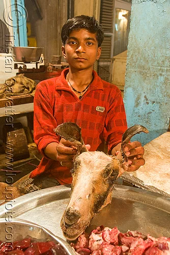 meat shop - goat meat - butcher - delhi (india), butcher, chevon, delhi, goat head, goat meat, halal meat, meat market, meat shop, mutton, raw meat