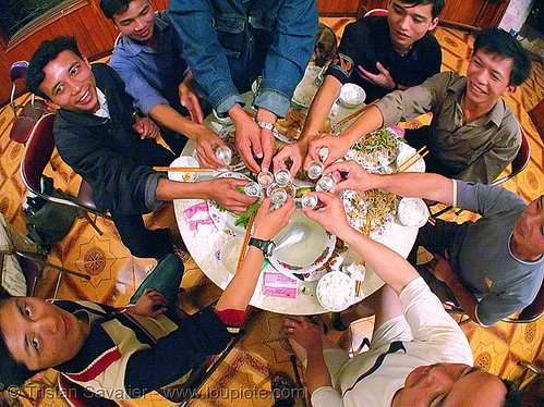 men drinking snake wine - cheers! - vietnam, alcohol, celebrating, circle, dinner, drinking, eating, friends, friendship, house party, liquor, men, rice wine, round table, shot glasses