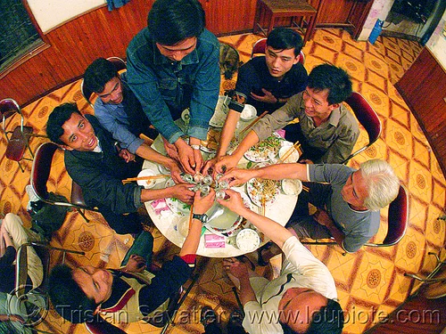 men drinking snake wine - vietnam, alcohol, drinking, liquor, men, rice wine, son la, sơn la, vodka