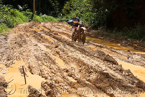 muddy road - ruts - motorbike, 250cc, dirt road, dual-sport, honda motorcycle, honda xr 250, motorcycle touring, mud ruts, muddy, unpaved