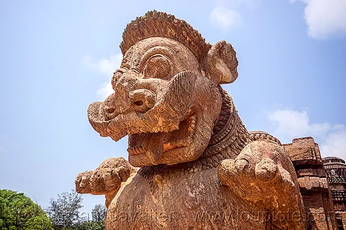 mustachioed stone tiger (india), hindu temple, hinduism, konark sun temple, mustache, sculpture, statue, stone tiger