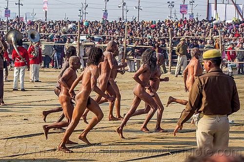 naga babas running after ritual bath at kumbh mela (india), crowd, hindu pilgrimage, hinduism, kumbh maha snan, kumbh mela, mauni amavasya, men, naga babas, naga sadhus, running, triveni sangam