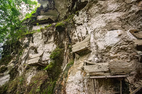 old toraja erong coffins hanging on cliff wall - kete-kesu traditional toraja burial site, cemetery, erong coffins, grave, graveyard, kete kesu burial site, liang, tana toraja, tomb