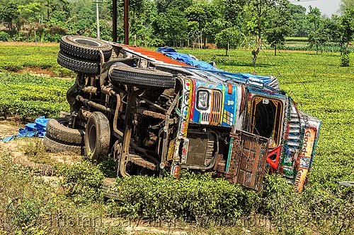 overturned truck in tea plantation (india), crash, ditch, field, lorry accident, overturned, road, rollover, tata motors, tea plantation, traffic accident, truck accident, west bengal, wreck