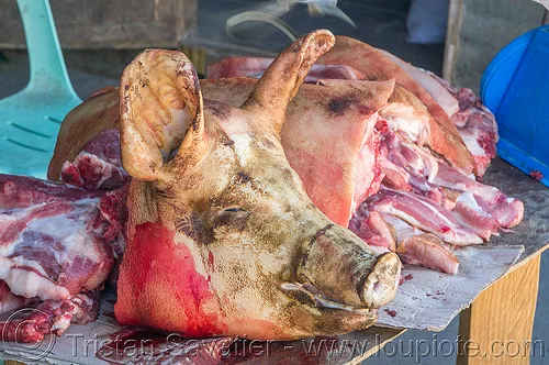 pig head - meat shop - sagada (philippines), meat market, meat shop, pig head, pork meat, raw meat, sagada, stall