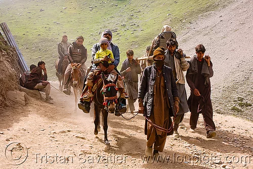 ponies, dandis and pilgrims on the trail - amarnath yatra (pilgrimage) - kashmir, amarnath yatra, caravan, dandis, dandy, dolis, hindu pilgrimage, horseback riding, horses, kashmir, kashmiris, load bearers, mountain trail, mountains, pilgrims, ponies, wallahs