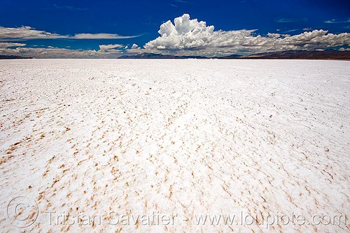 salt flat - salinas grandes (jujuy, argentina), argentina, blue sky, halite, horizon, jujuy, landscape, noroeste argentino, rock salt, salar, salinas grandes, salt bed, salt flats, salt lake, white